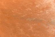 KM5909 Обои виниловые на флизелиновой основе Джангл, база, оранжевый КЕРАМА МАРАЦЦИ KERAMA MARAZZI