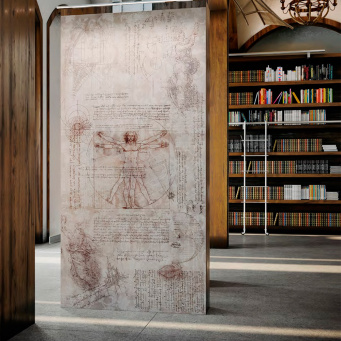 Ковры Ковры