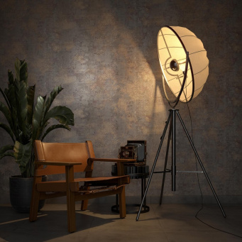 Ренессанс Ренессанс