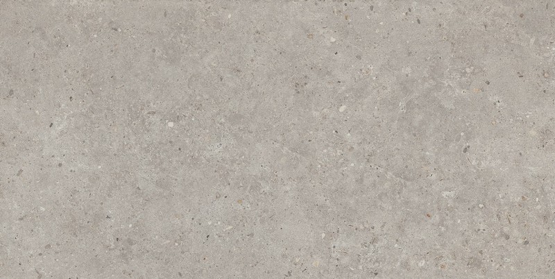 SG519920R Риккарди серый светлый матовый обрезной 60х119,5x0,9 керамогранит KERAMA MARAZZI