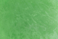 KM5910 Обои виниловые на флизелиновой основе Джангл, база, зелёный КЕРАМА МАРАЦЦИ KERAMA MARAZZI